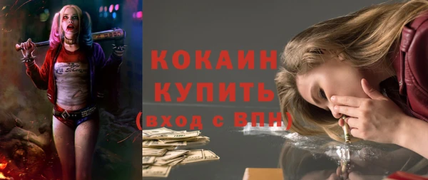 амф Пересвет