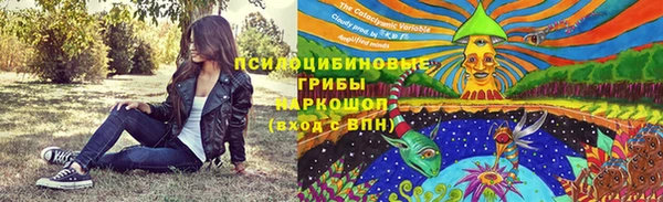 дмт Аркадак