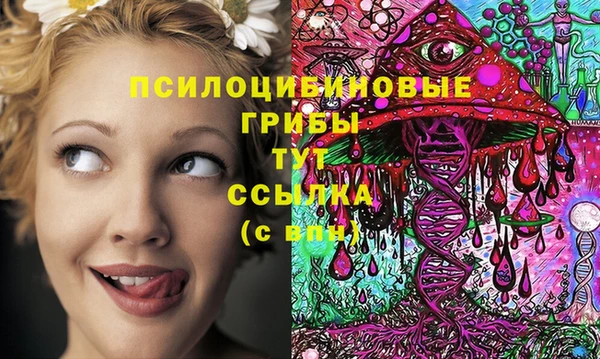 дмт Аркадак