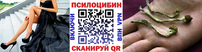 Псилоцибиновые грибы GOLDEN TEACHER  Покров 