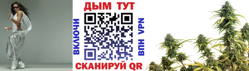 Бошки марихуана планчик продажа наркотиков Покров